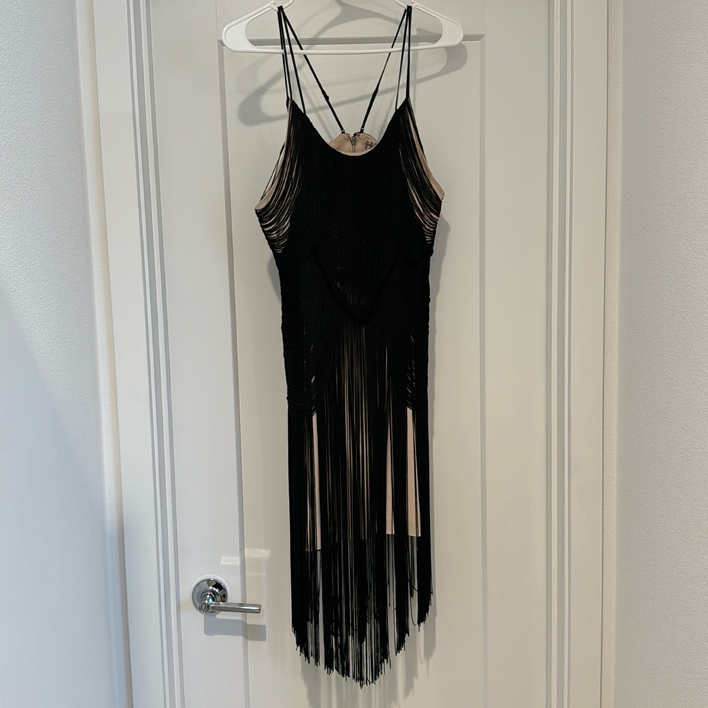 Haute Hippie Dress